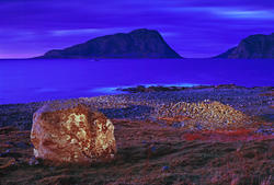 Strandgravfeltet på Løsetstranda i Herøy