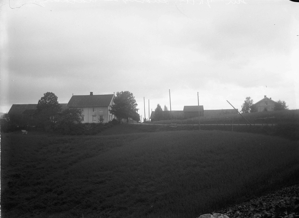 Gulbrand Ludvigsen, Aalborg, gård