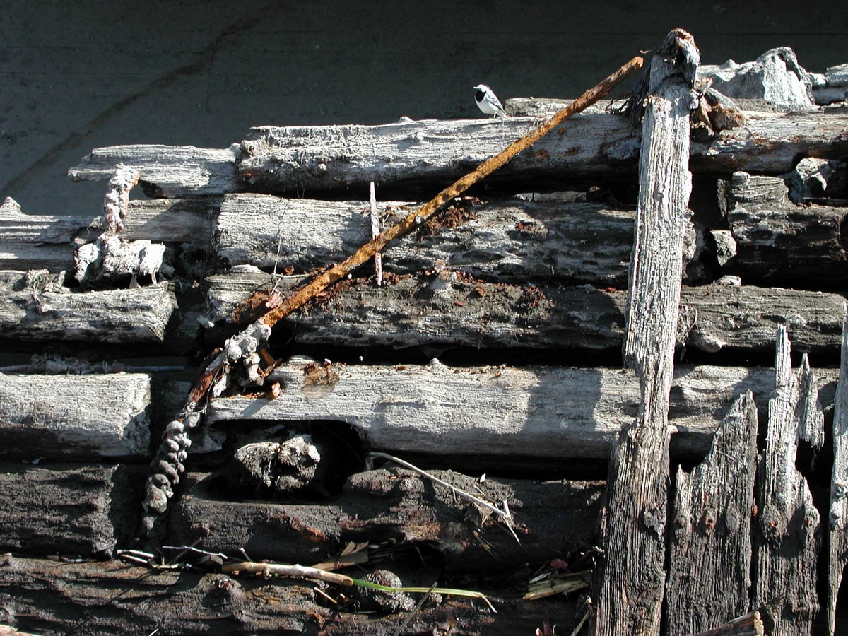 Kraftverksdam, Andelva, rester av gammel demning, detaljer steinkistedam