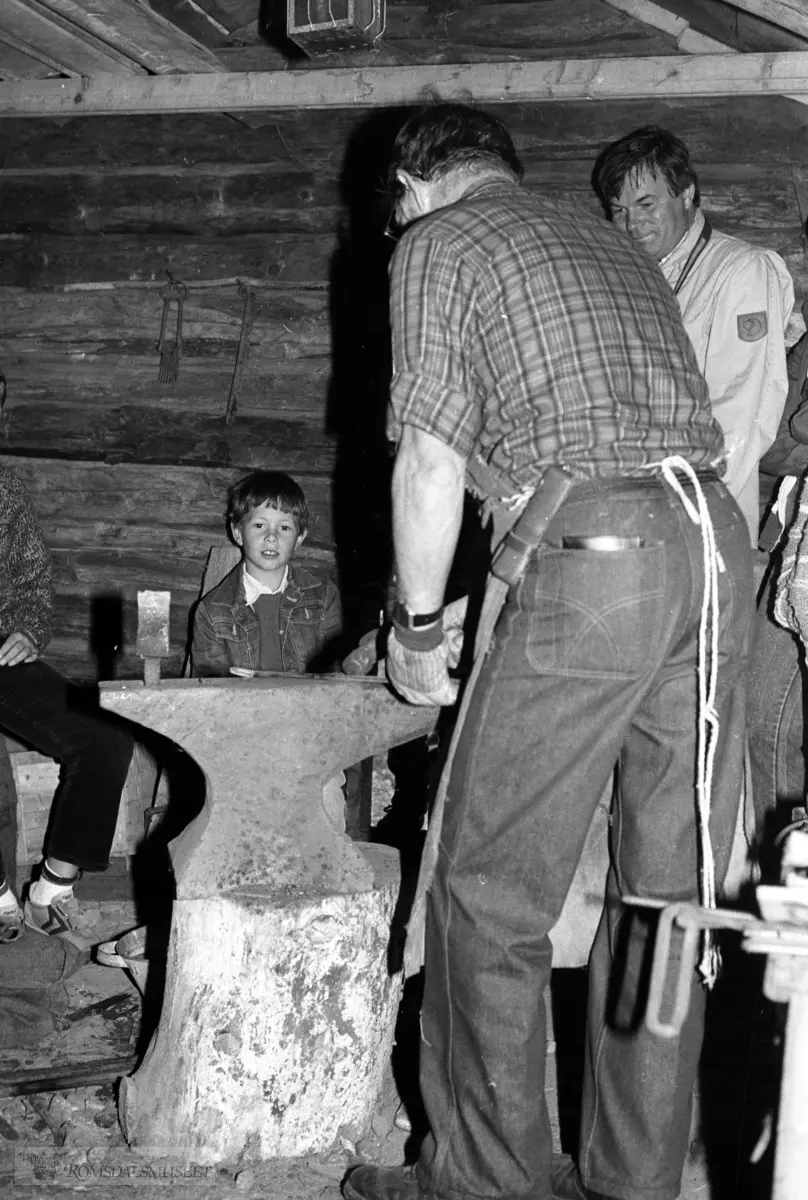 Nesjestranda Husmorlag med flere på Romsdalsmuseet 1984.