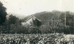 Kveldro (Speiderhuset), 1932.