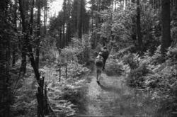 "Jonsok-kveld 1964, Hyttetur".