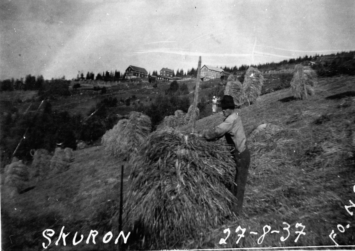 Skuronn på Haugen 27-08-1937