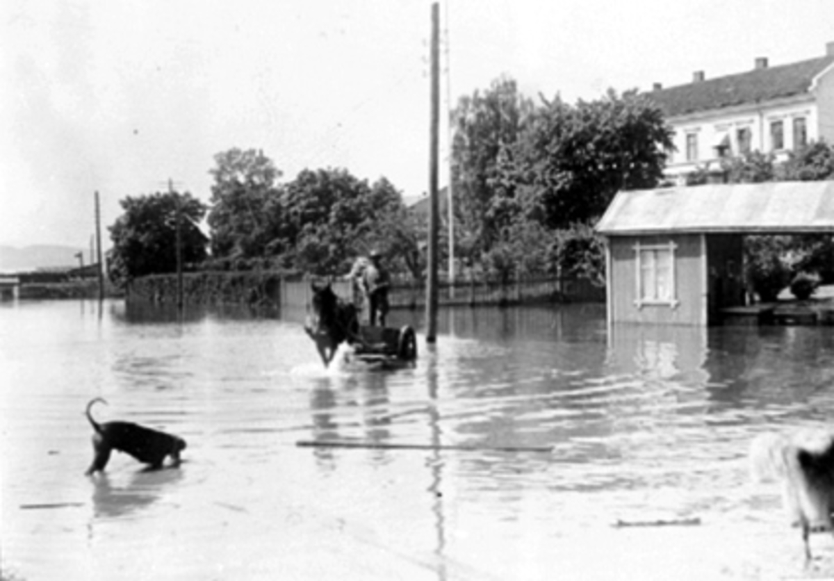Hamar, flommen 1927, Mjøsflom 1927, mye vann mellom jernbaneundergangen og kjøttvekta bak Basarbygningen, Knut Emilsen fra Hamar kommune kjører hest og kjerre, 
