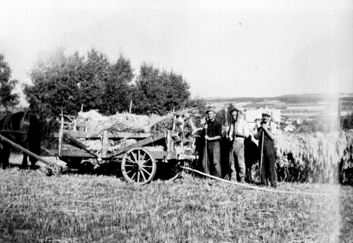Skuronn på Stav, Helgøya, hest med høykjerre, 3 menn i arbeidsklær med river.