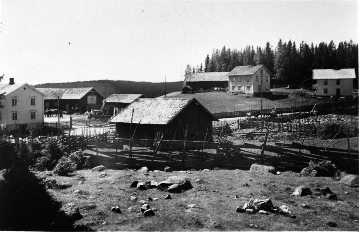 Gardene på Bergunhaugen, Mesnalia, Ringsaker i 1934. Skigard.