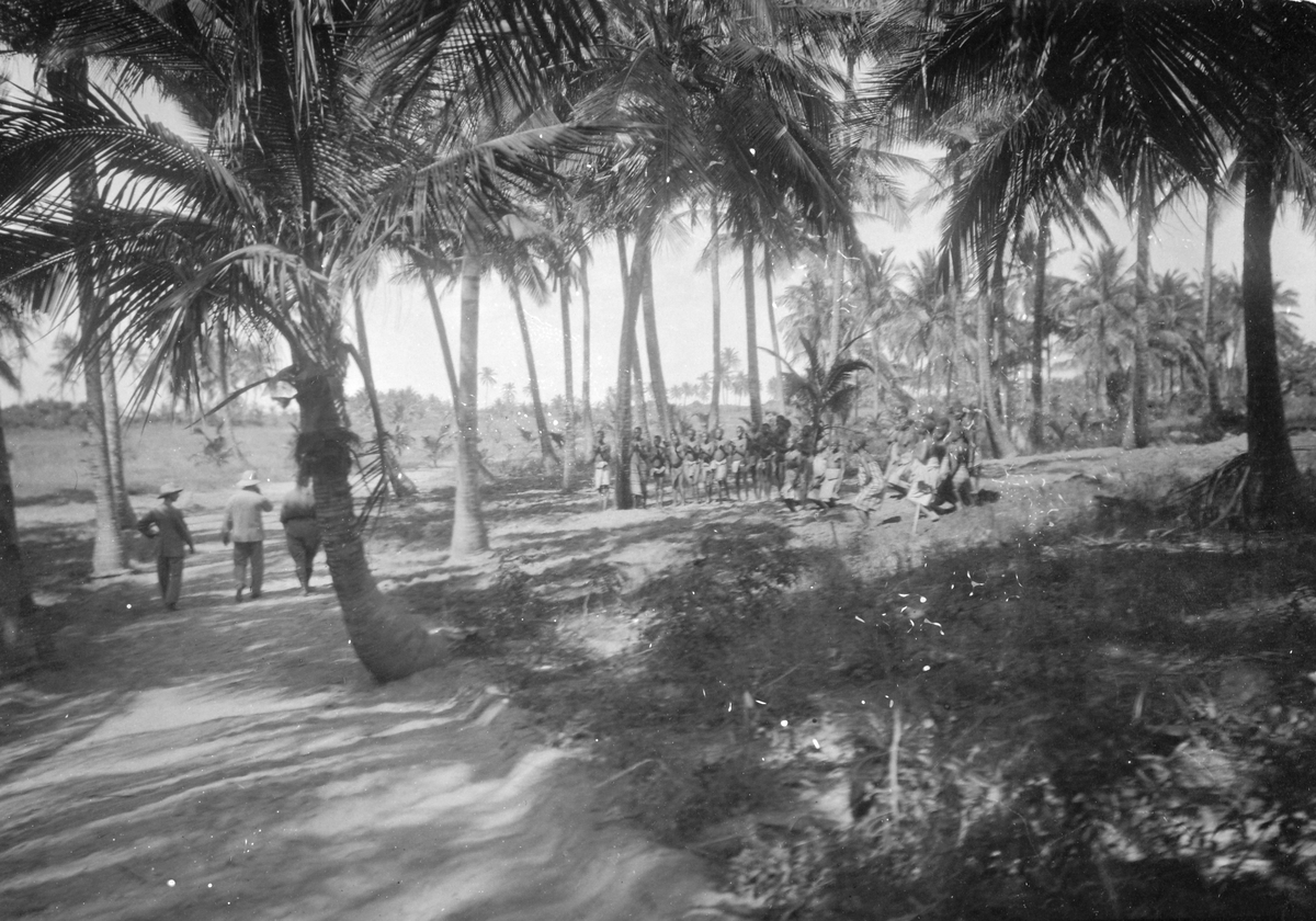 Mosambik 1914. Fra en prazo som tilhører plantasjeselskapet Soc. du Madal.