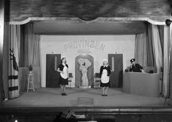 Fra revyen "Velkommen til provinsen" i Hjorten