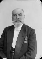 Grosserer Dyre Halse sen.