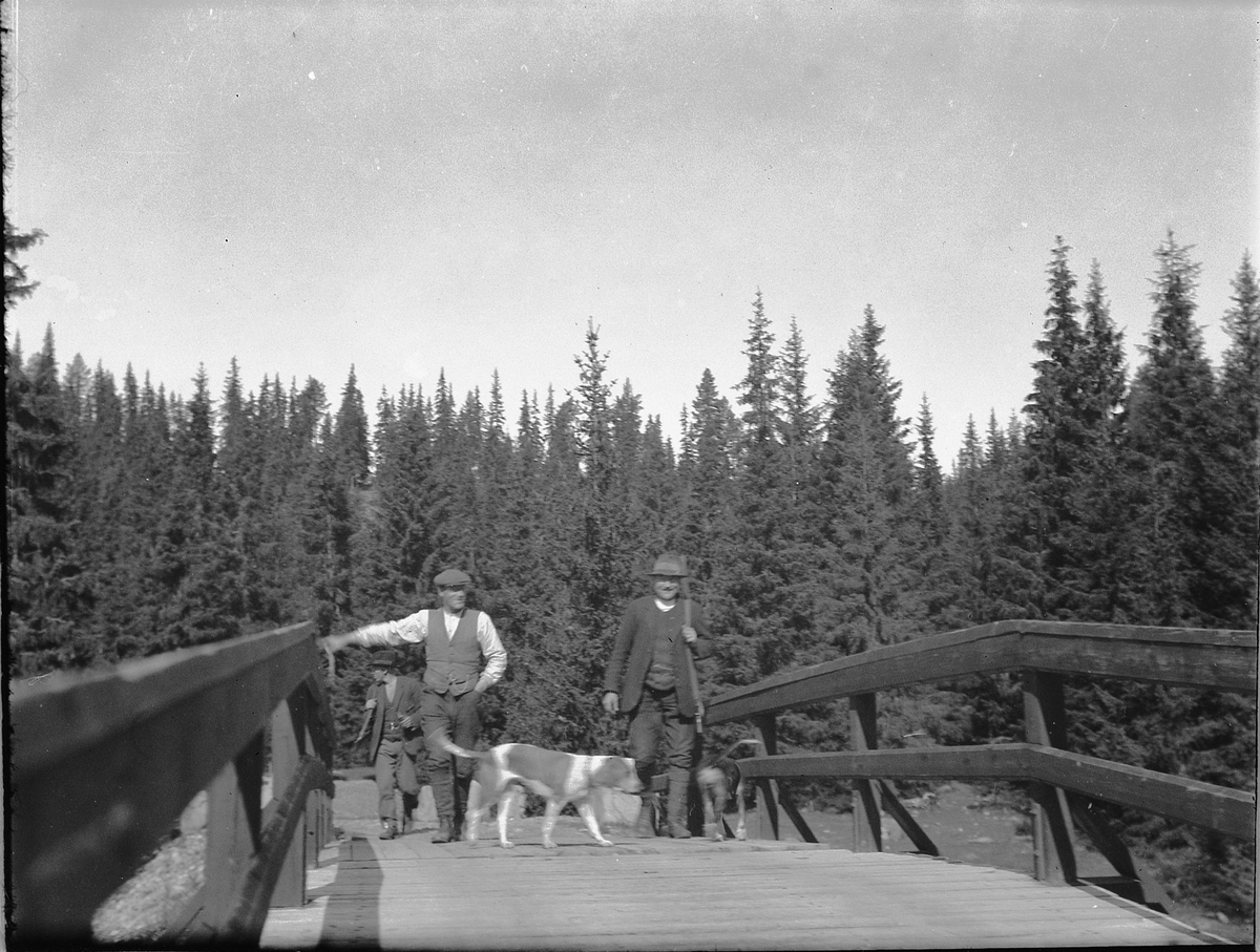 Tre menn på jakt, med våpen og hunder, går over ei bru i Åstadalen i Ringsaker. 