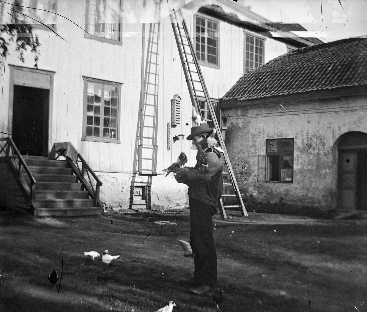 Hovinsholm gård, Helgøya i Ringsaker. Mann mater duer, indre gårdsplass.  Foto Jacob Hoel.