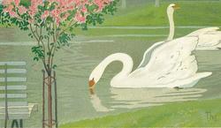 Overrekkingskort [Overrekkingskort]