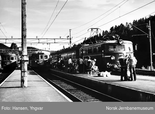 Neslandsvatn stasjon med reisende som venter på ankommende "Stavangerekspressen" og motorvognen fra Kragerø i sporet ved siden av