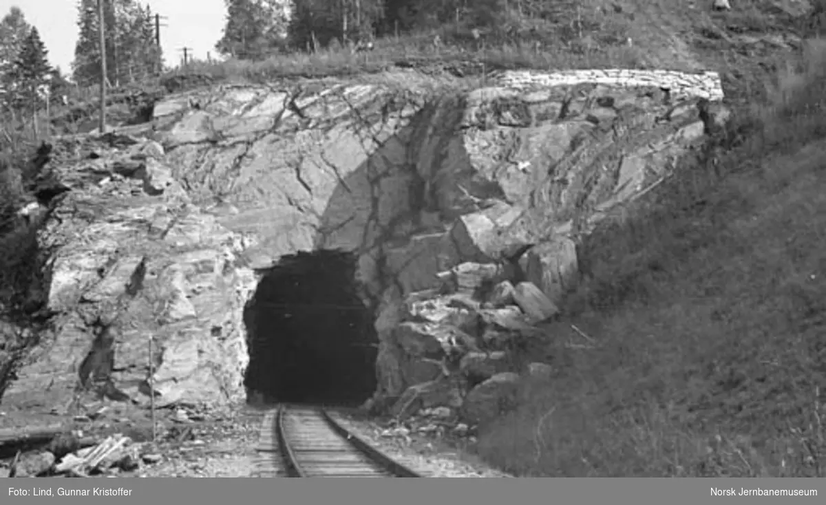 Nordlandsbaneanlegget : Stupforsen tunnel, søndre innslag