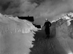 Friluftsliv / Sport  Skki Sno  Rondablikk