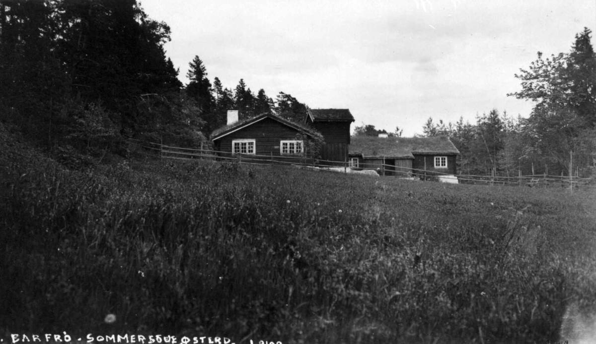 Barfrøstue fra Gammelstu Trønnes, Stor-Elvdal og sommerstue fra Kilde, Åmot. Østerdalstunet på Norsk folkemuseum, 1923.