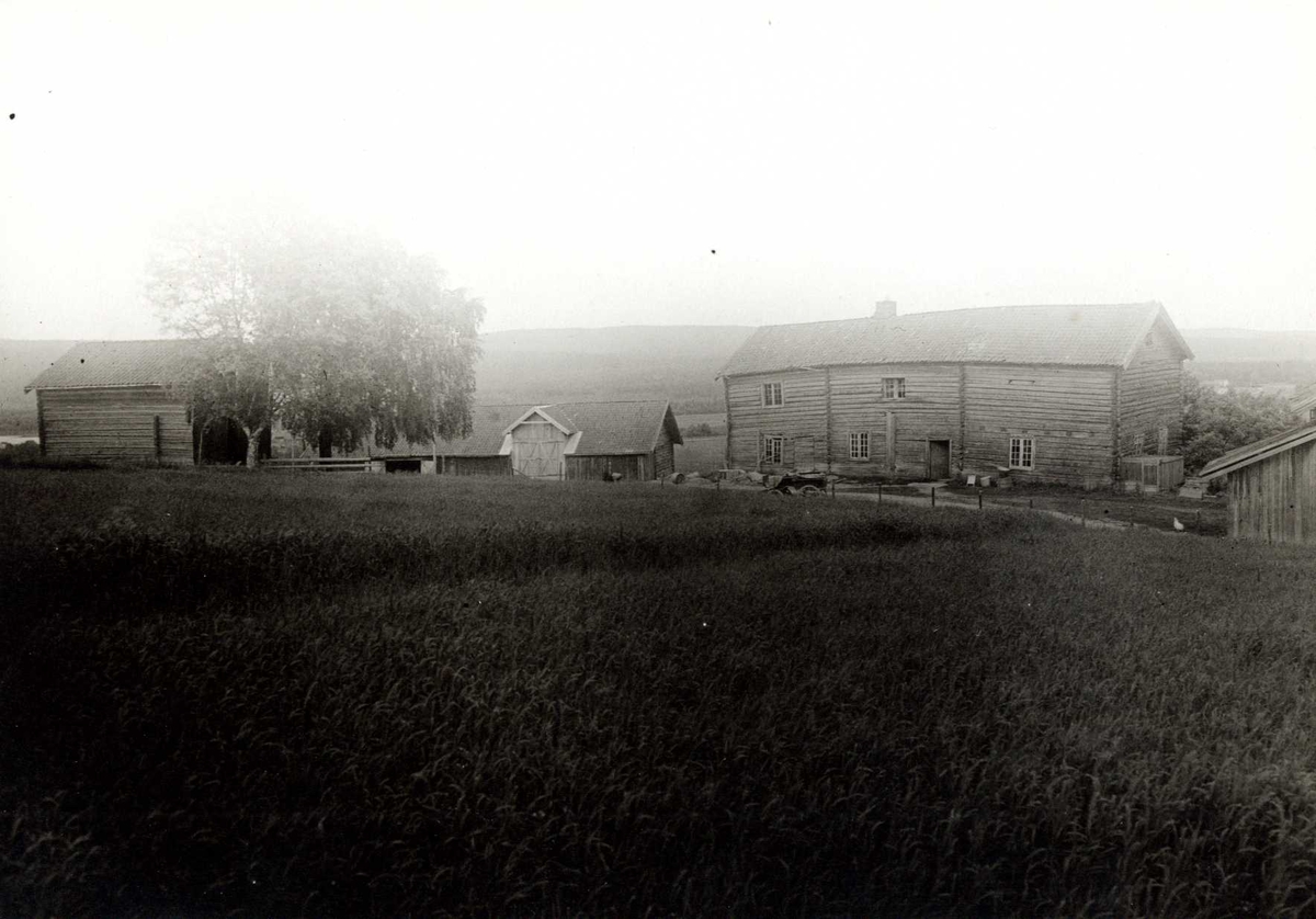 Bakli, Sør-Odal, Hedmark 1925. Gårdstunet sett fra kornåker.