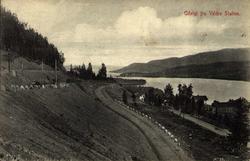 Postkort. Jule- og nyttårshilsen. Fotografisk motiv. Svart/h