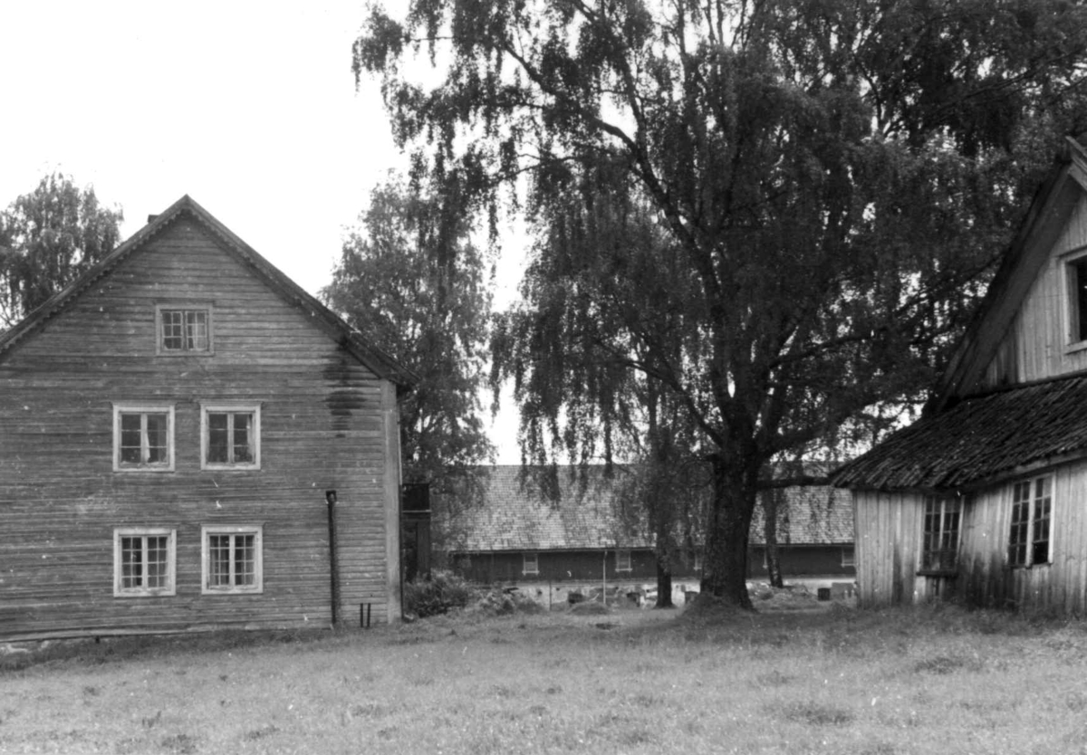 Berg, Nes, Akershus. Hovedbygningen og bryggerhus, med låve på andre siden av tunet. Storgårdsundersøkelser ved Engelstad 1953.
