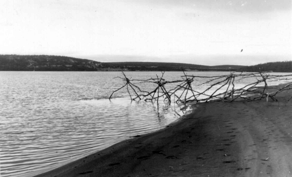 Gjerdet ved Kautokeino-elva på boplassen til Anna og Kristine Sivertsen Sirs. Bredbuktnes 1953.