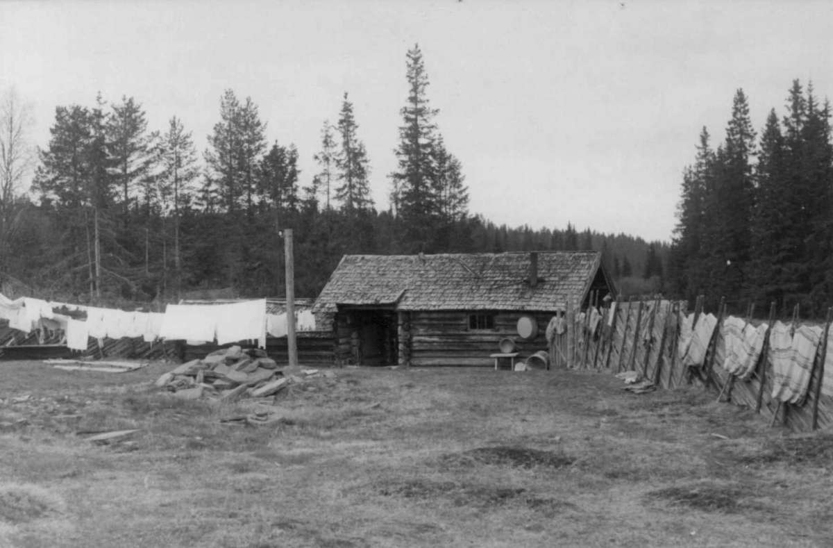 Drevjevollen, Trysil, Hedmark mai 1950. Bu.