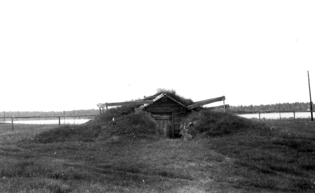 Inngangspartiet til en torvdekket kaldkjeller. Gråträsk ved Arvidsjaur 1958.