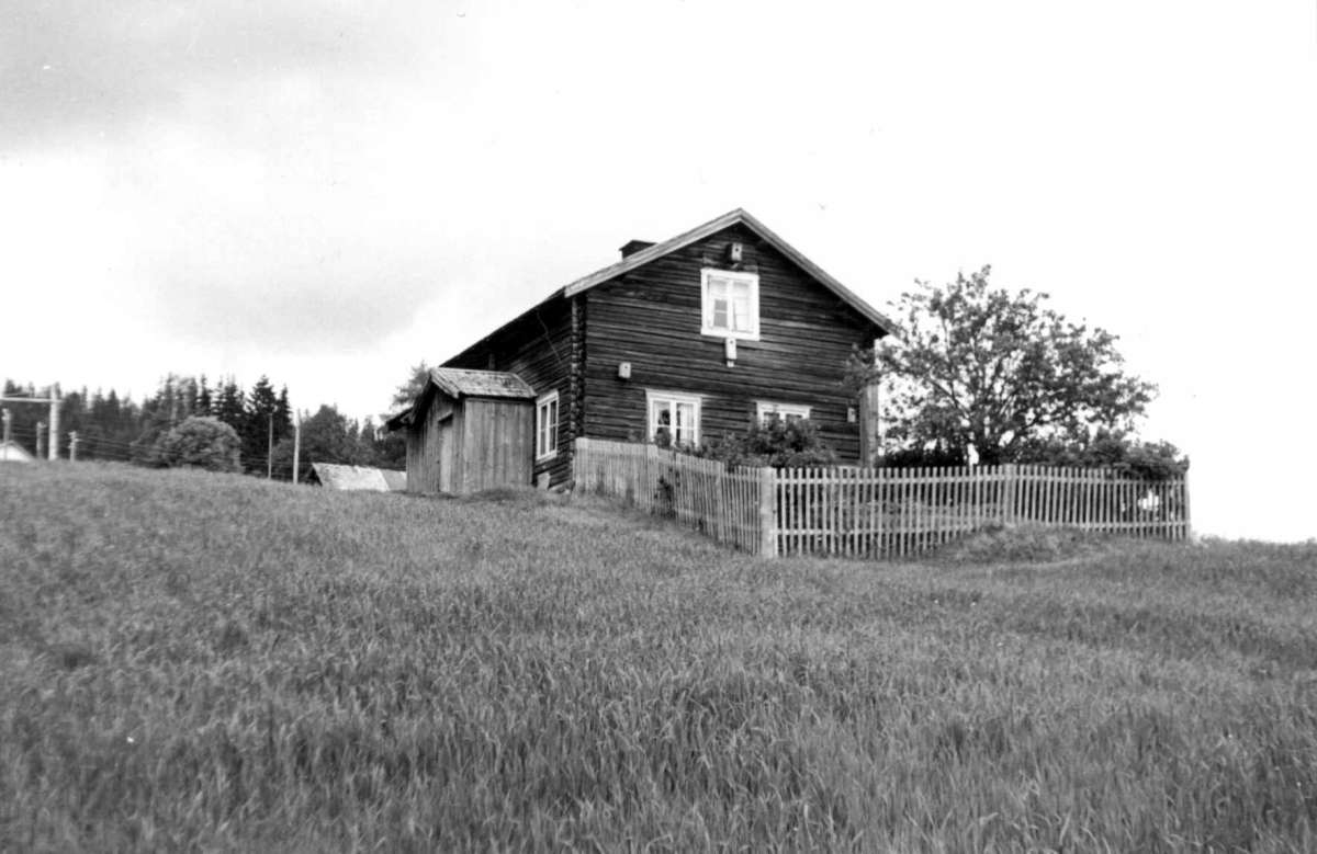 Neby, Trysil, Hedmark. Våningshus med hage.