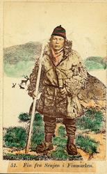 51. Fin fra Senjen i Finmarken.