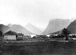 Parti ved Hjørrendfjord. [Søndm...]