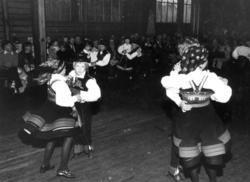 Norsk Folkemuseums barne- og ungdomsleikarrings 25 års jubil