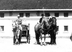 Oslodagene, 28.8.1982. Ankomst med hester og vogner fra Bogs