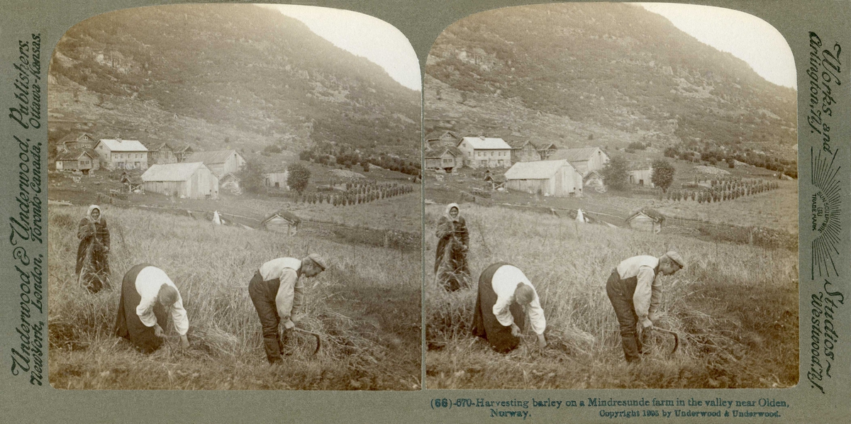 Stereoskopi Høyonn På Mindresunde Gård Stryn Sogn Og Fjordane