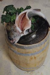 Norske mattradisjoner, raket og røket, saltet og speket, tør