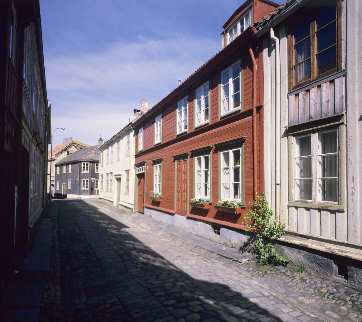Gateparti med gamle trehus i Drillveita i Trondheim, sett fra Holstveita. Det røde huset er nyrestaurerte Drillveita 3. Fotografert for Bonytt 1986.