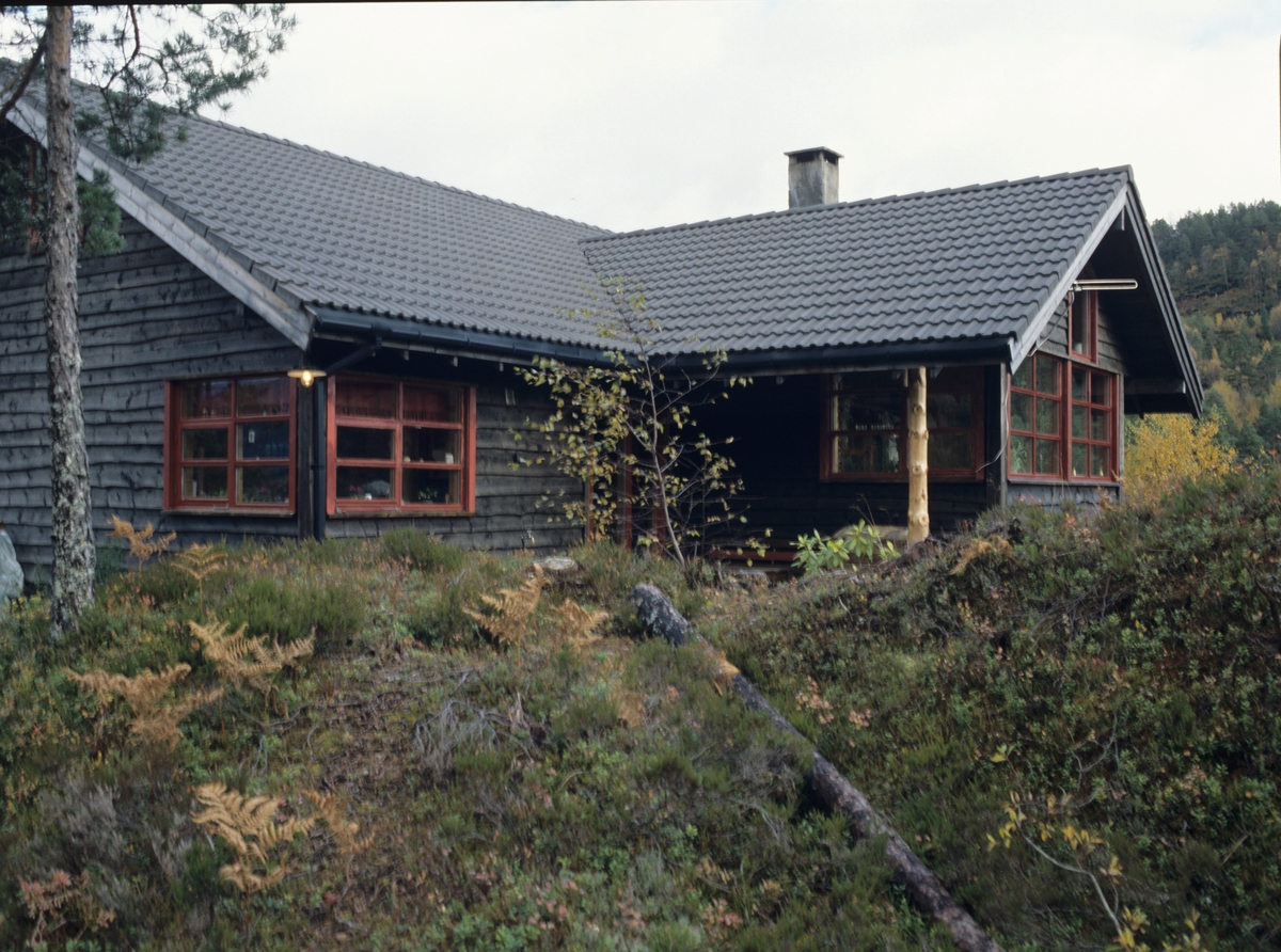 Hus ligger i terrenget i Naustdal ved Førde. llustrasjonsbilde fra Bonytt 1986.