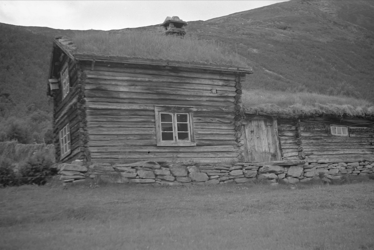Husmannsplass, Tørset, Lønset, Storlidalen, Oppdal, Sør-Trøndelag. Fotografert 1940. Fra album. 