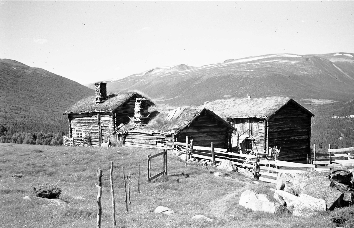 Husmannsplass, Blokkhusmorka, Lønset, Oppdal, Sør-Trøndelag. Fotografert 1940. Fra album. 