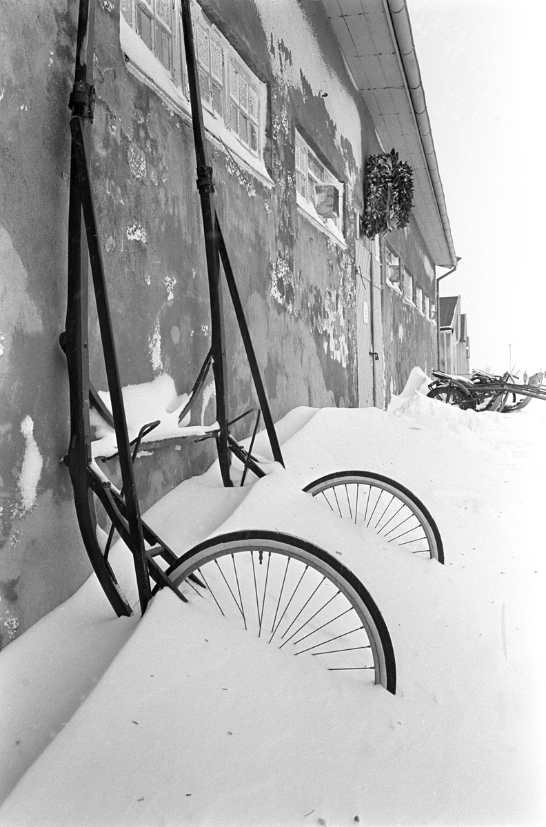 En nedsnødd sulky på Bjerkebanen. Langrenn på Bjerke Travbane i regi av idrettslaget BUL i desember 1962.