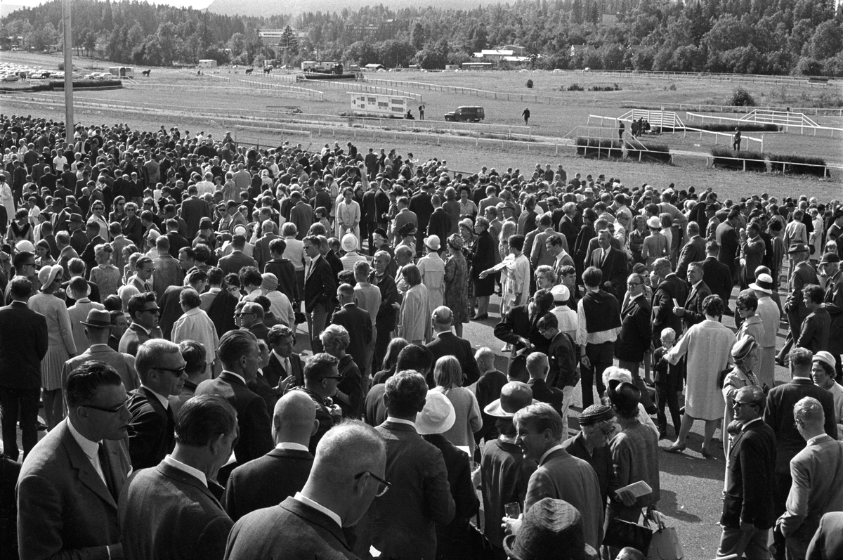 Norsk Derby på Øvrevoll galoppbane i Bærum 20. august 1967. Oversiktsbilde over banen.