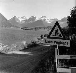 Veiskilt "Laus vegbane" på Ålesundveien.
Fotografert 1958.