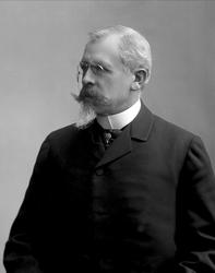 Portrett, Fredrik Meltzer Brun (født 1848).