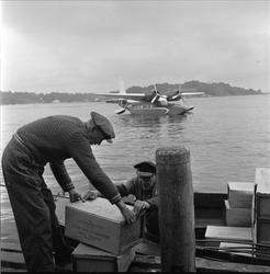 Lossing av krabbefangst, båt ved kai, sjøfly i bakgrunnen, s