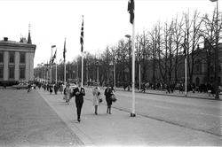 8.mai feiring 1965, 20-års jubileum.
Fra Oslo, 08.05.1965. F
