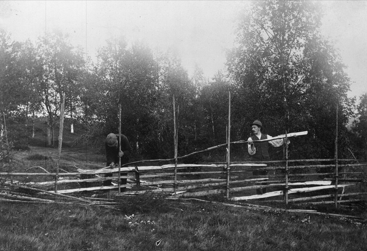 Jordbruk. Resning av gärdsgård i Värmlands finnmarker. Nordiska