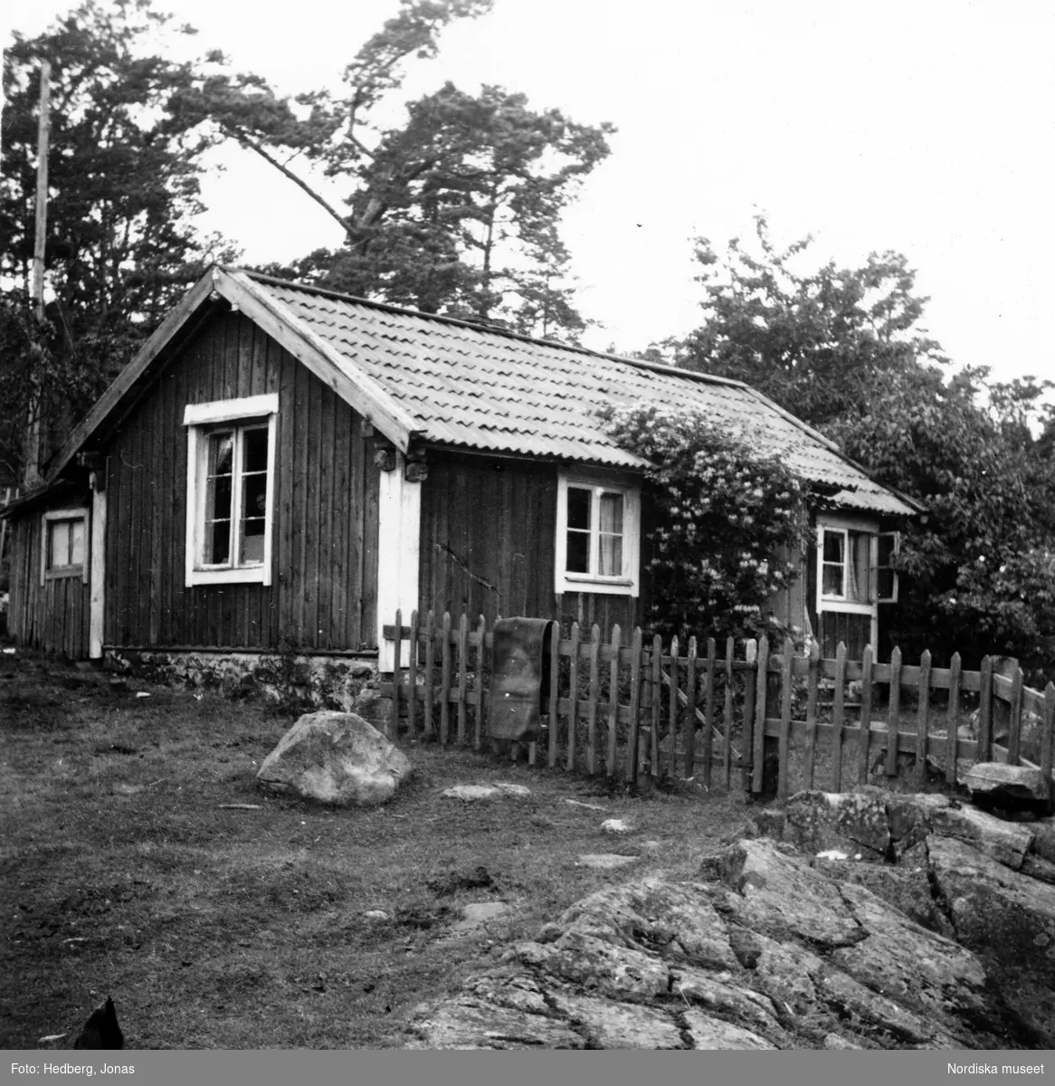 Södermanland, Ornö, Silverberg. ”Mor Annas stuga”. Kaprifol vid dörren.