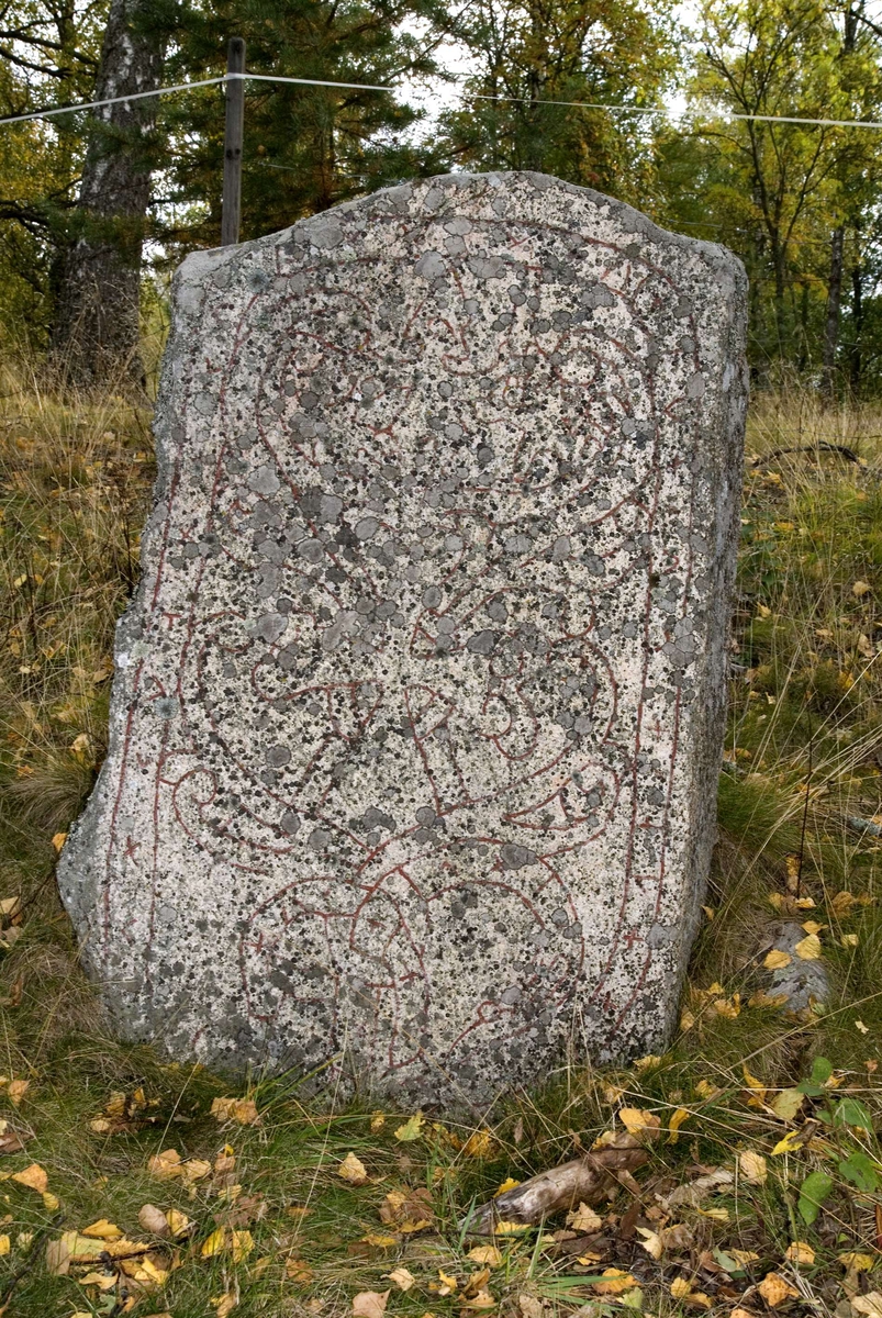 Runstenen U1175 i Stora Ramsjö, Vittinge socken, Heby kommun, Uppland