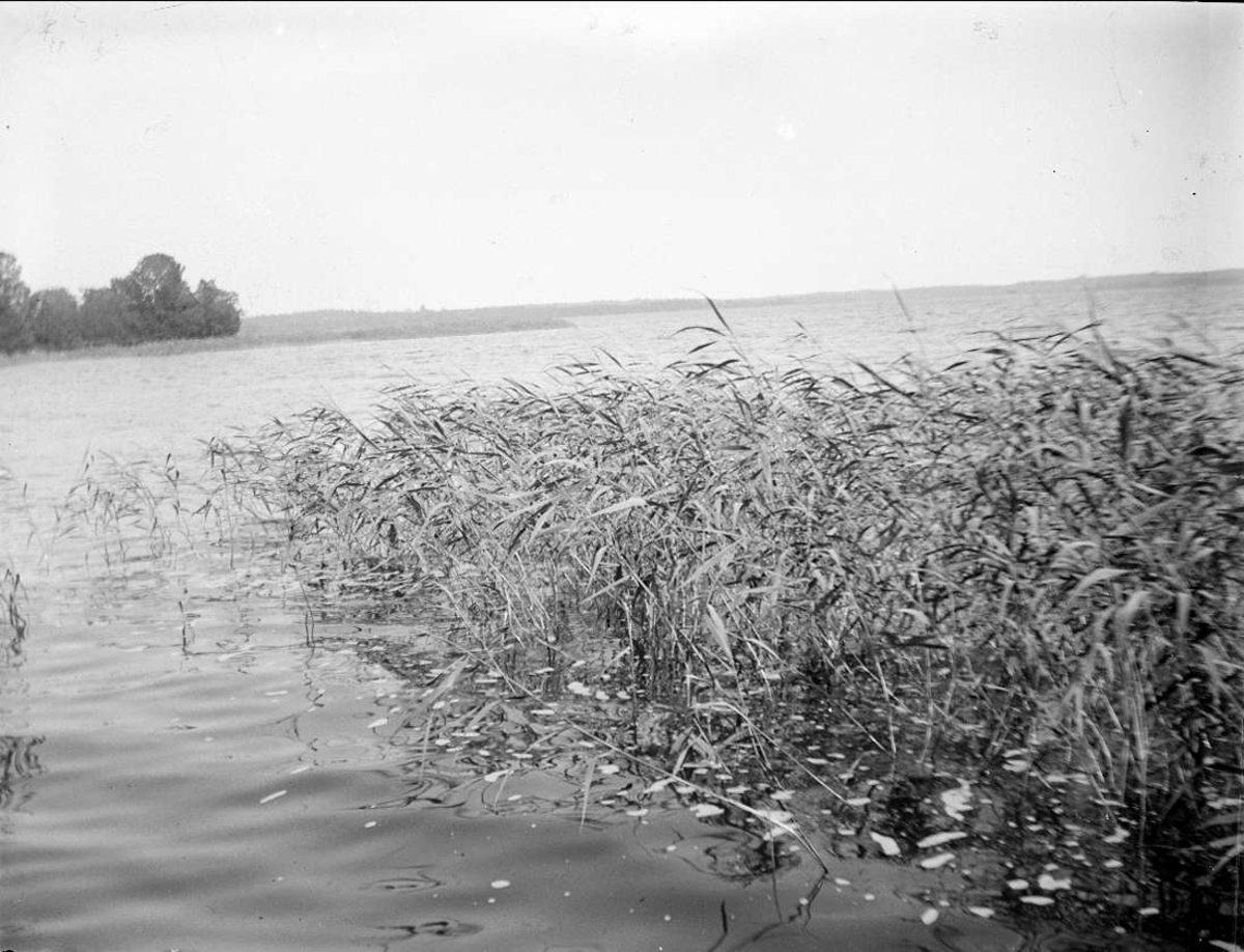 Sjön Limmaren vid Mellingeholm, Frötuna socken, Uppland 1927