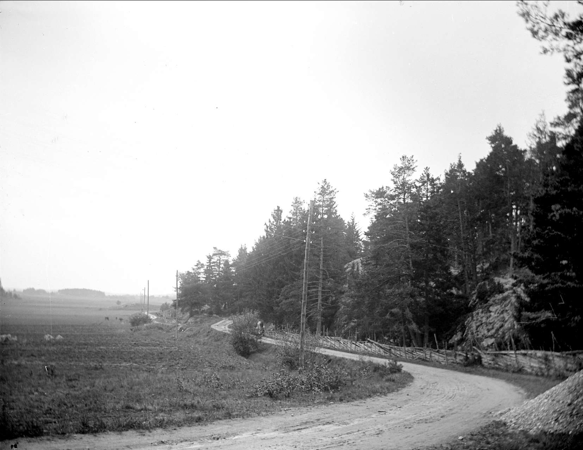 Väg i Låssa socken, Uppland i september 1917