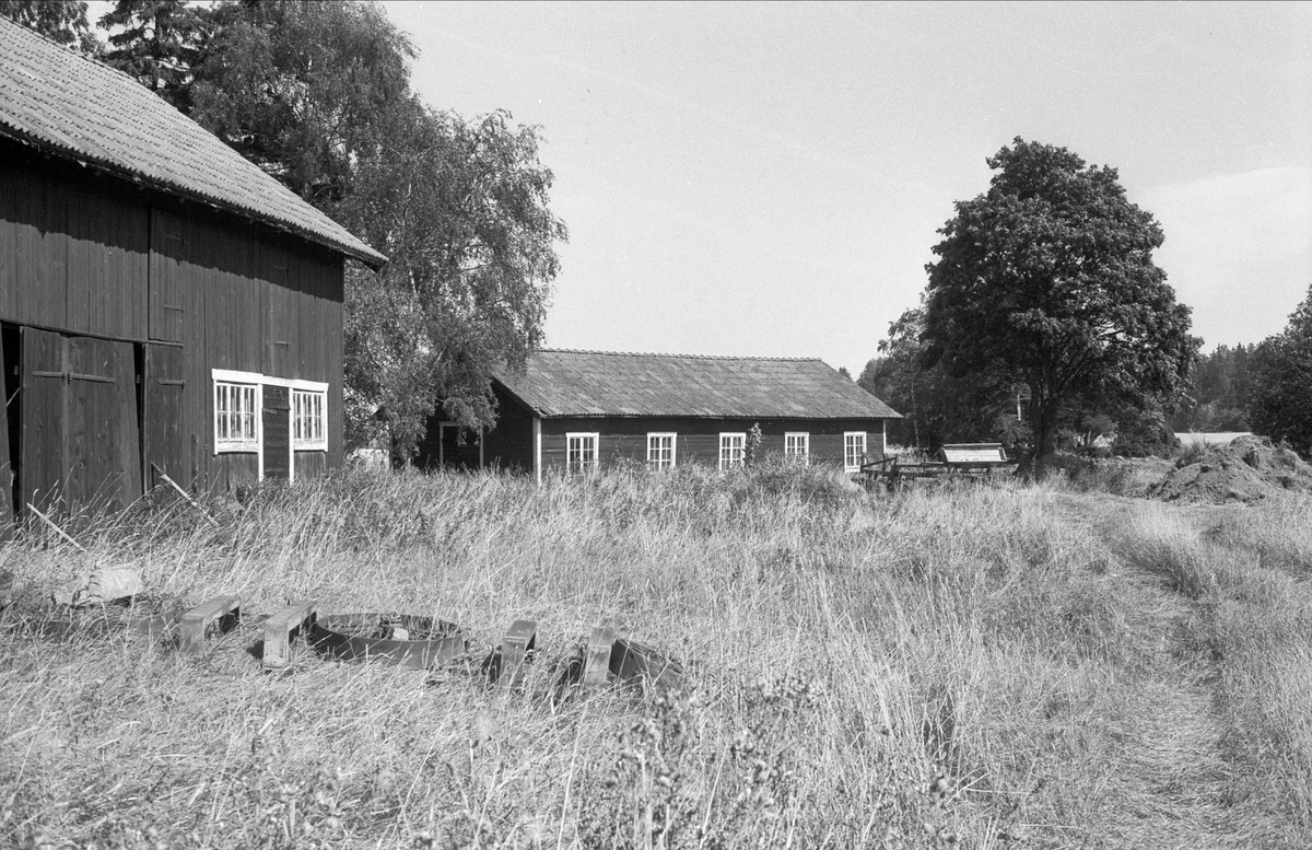 Lada och hönshus, Mångsbo 1:5, Börje socken, Uppland 1983