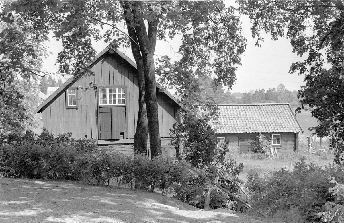 Magasin och svinhus, Berga 1:1 och 1:2, Berga, Danmarks socken, Uppland 1977